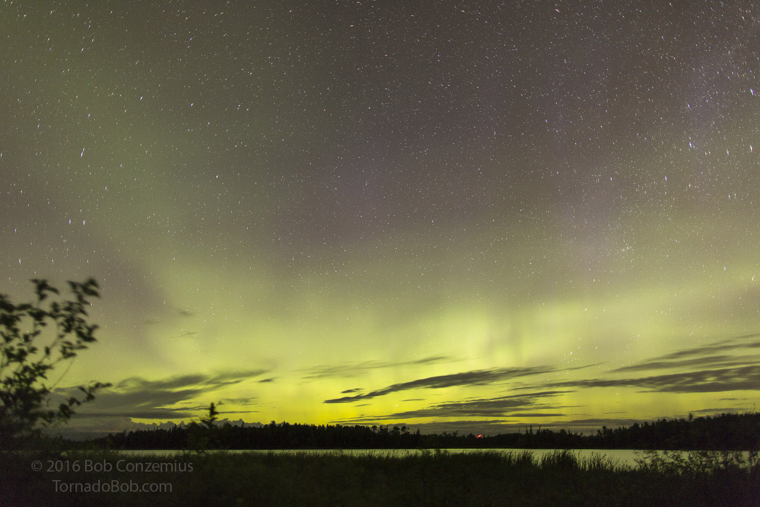 Nice Auroras