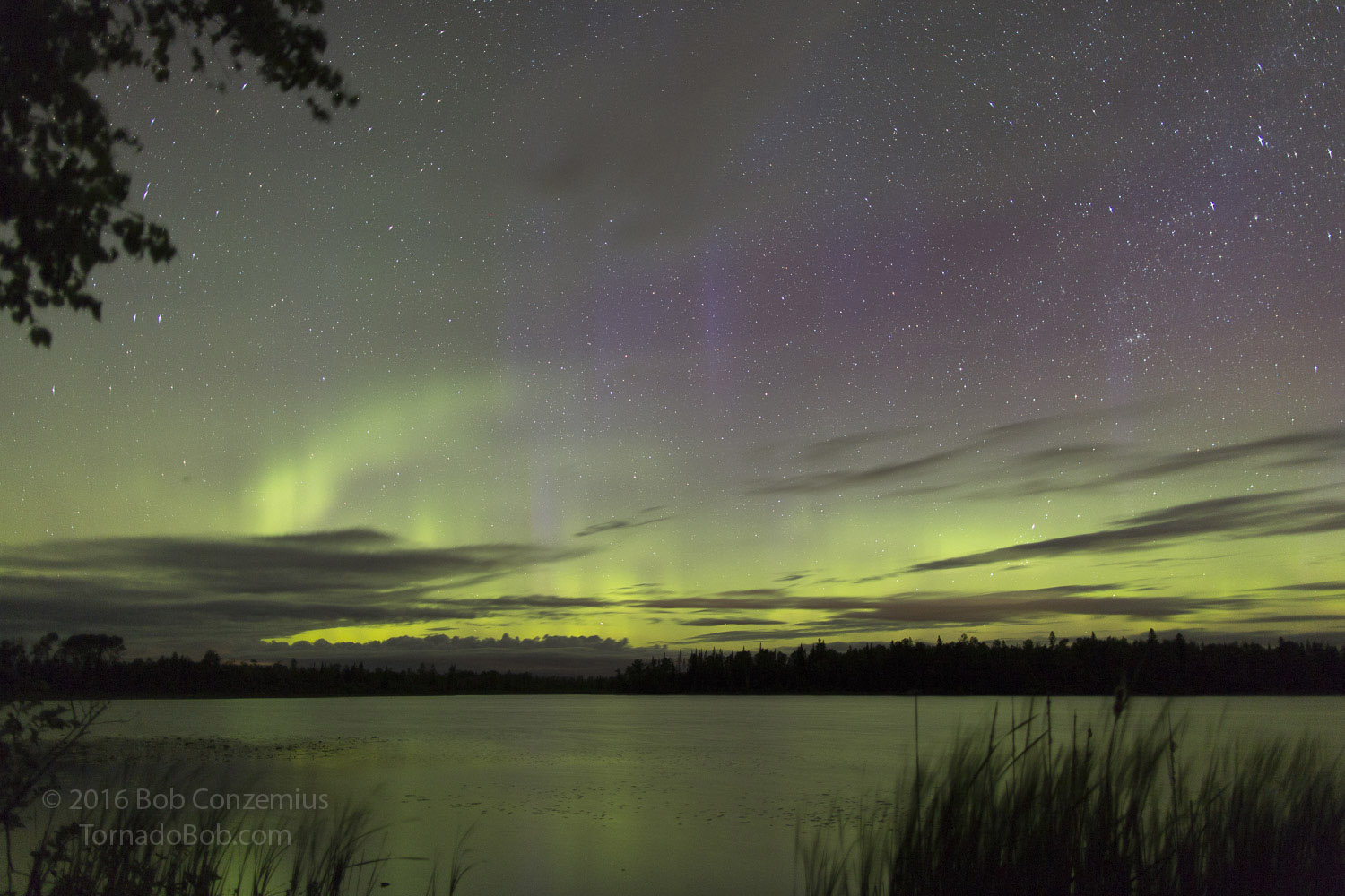 Nice Auroras