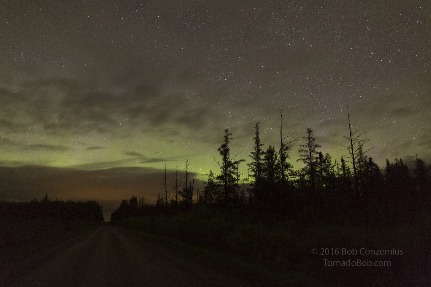 Nice Auroras