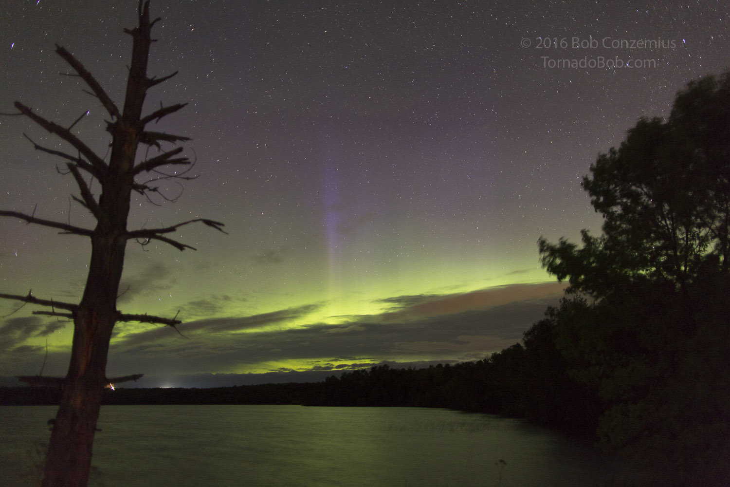 Nice Auroras