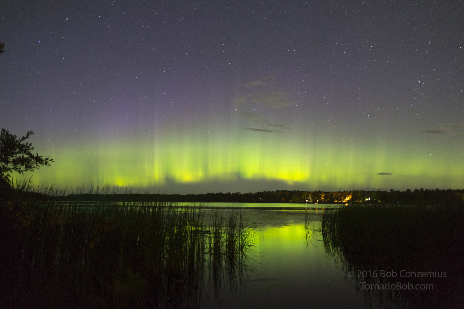 Nice Auroras
