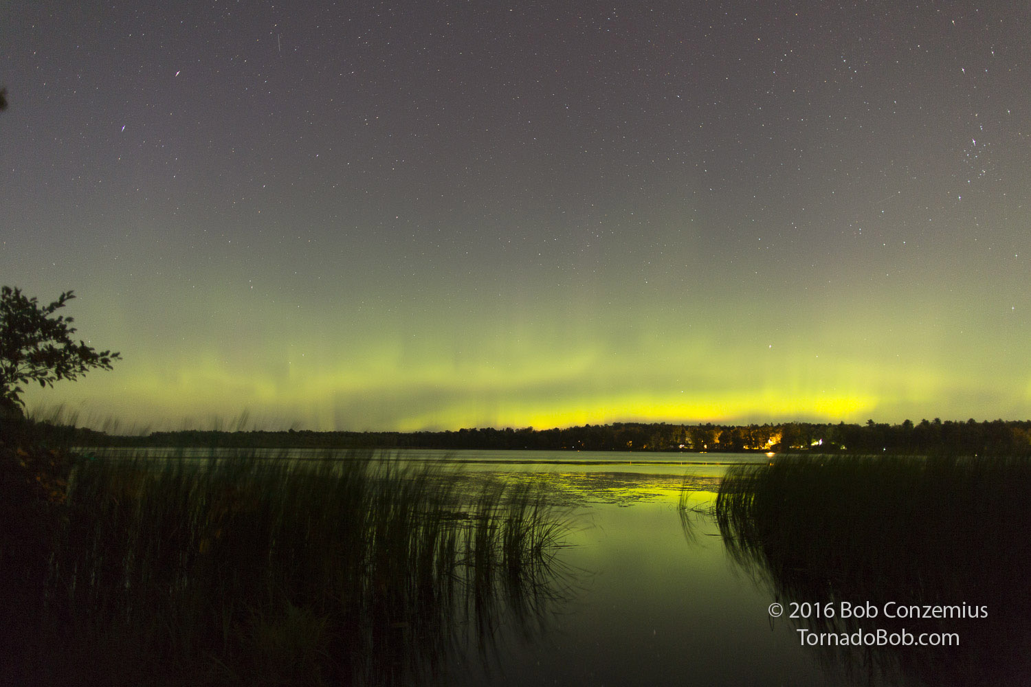 Nice Auroras