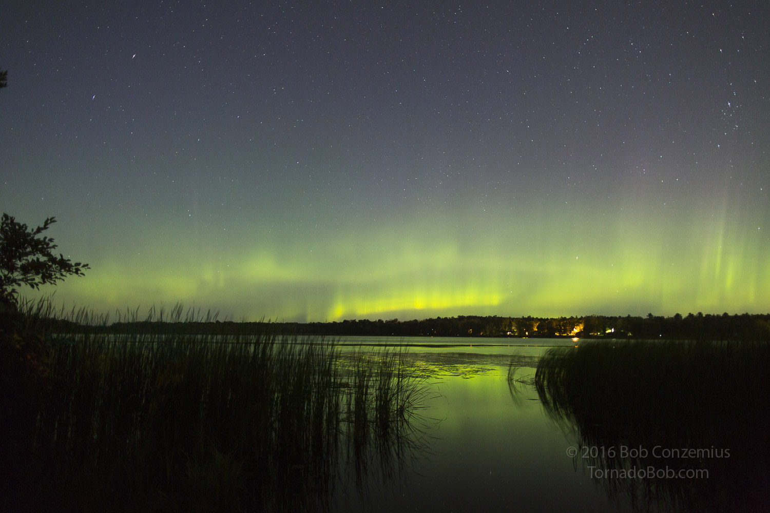 Nice Auroras