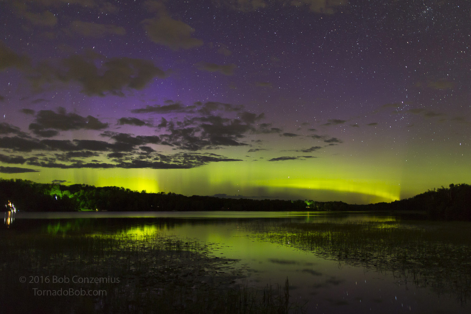 Nice Auroras