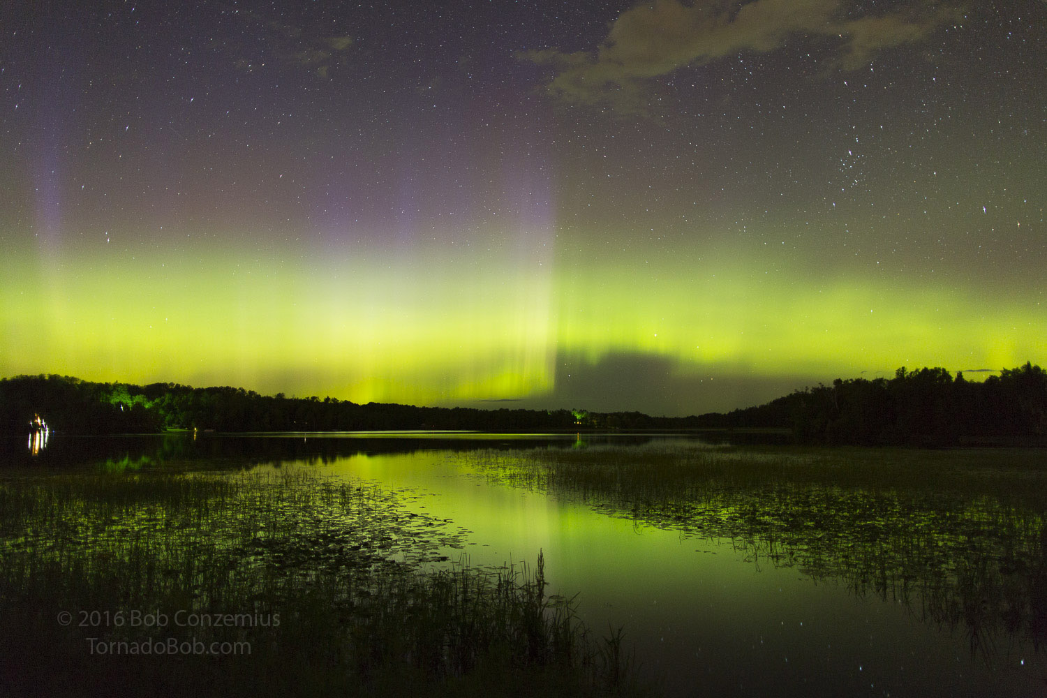 Nice Auroras