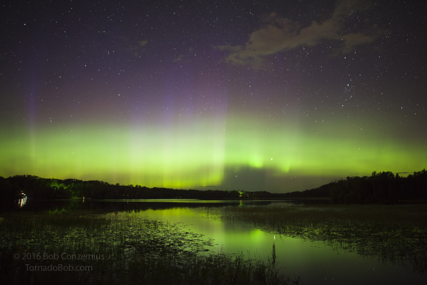 Nice Auroras