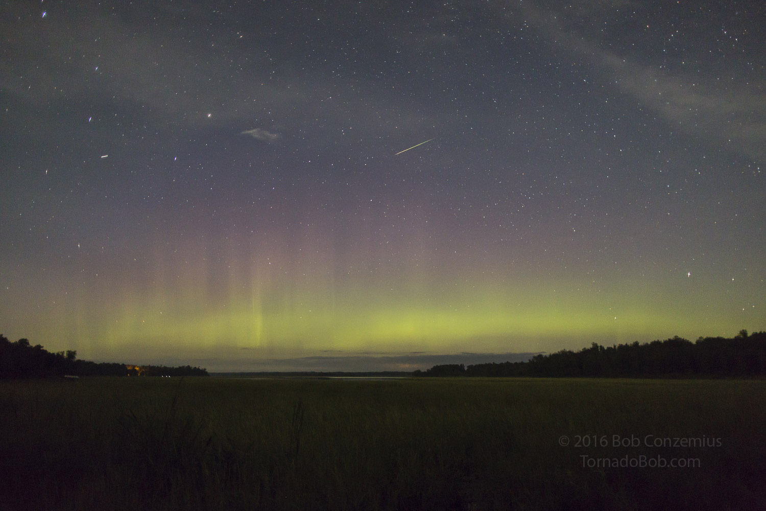 Nice Auroras