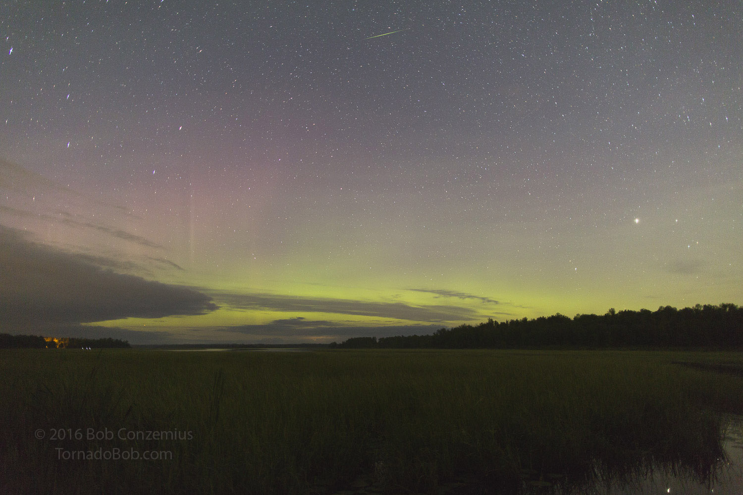 Nice Auroras