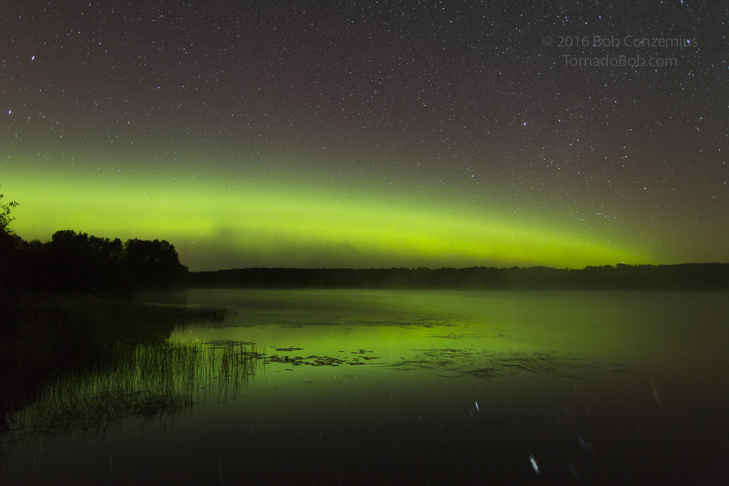 Nice Auroras