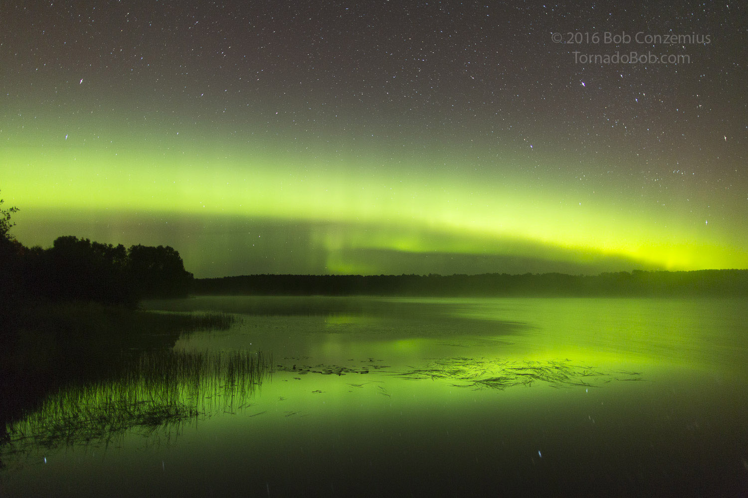 Nice Auroras