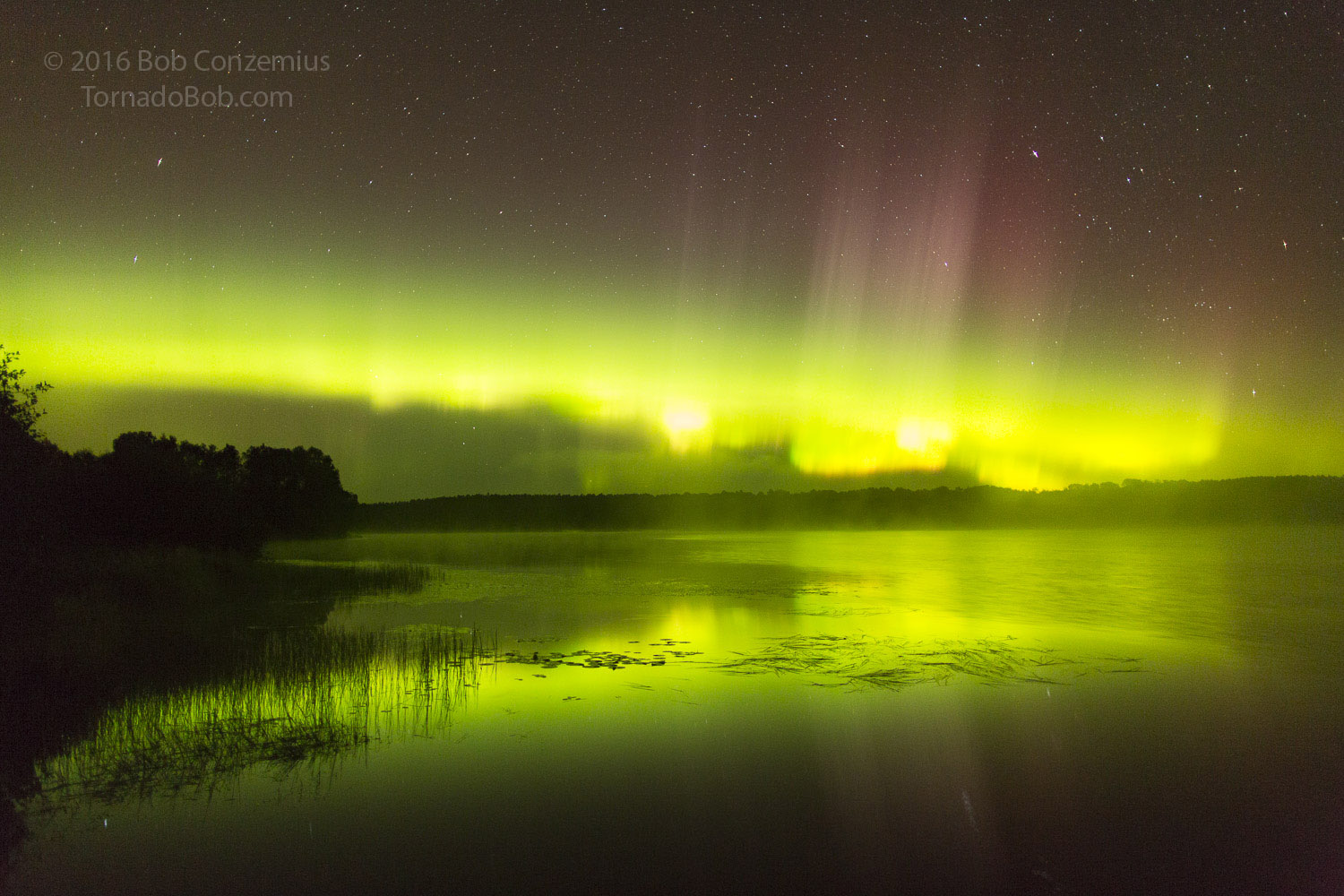 Nice Auroras