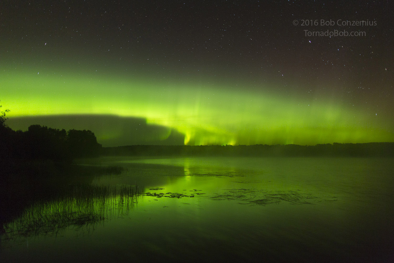 Nice Auroras