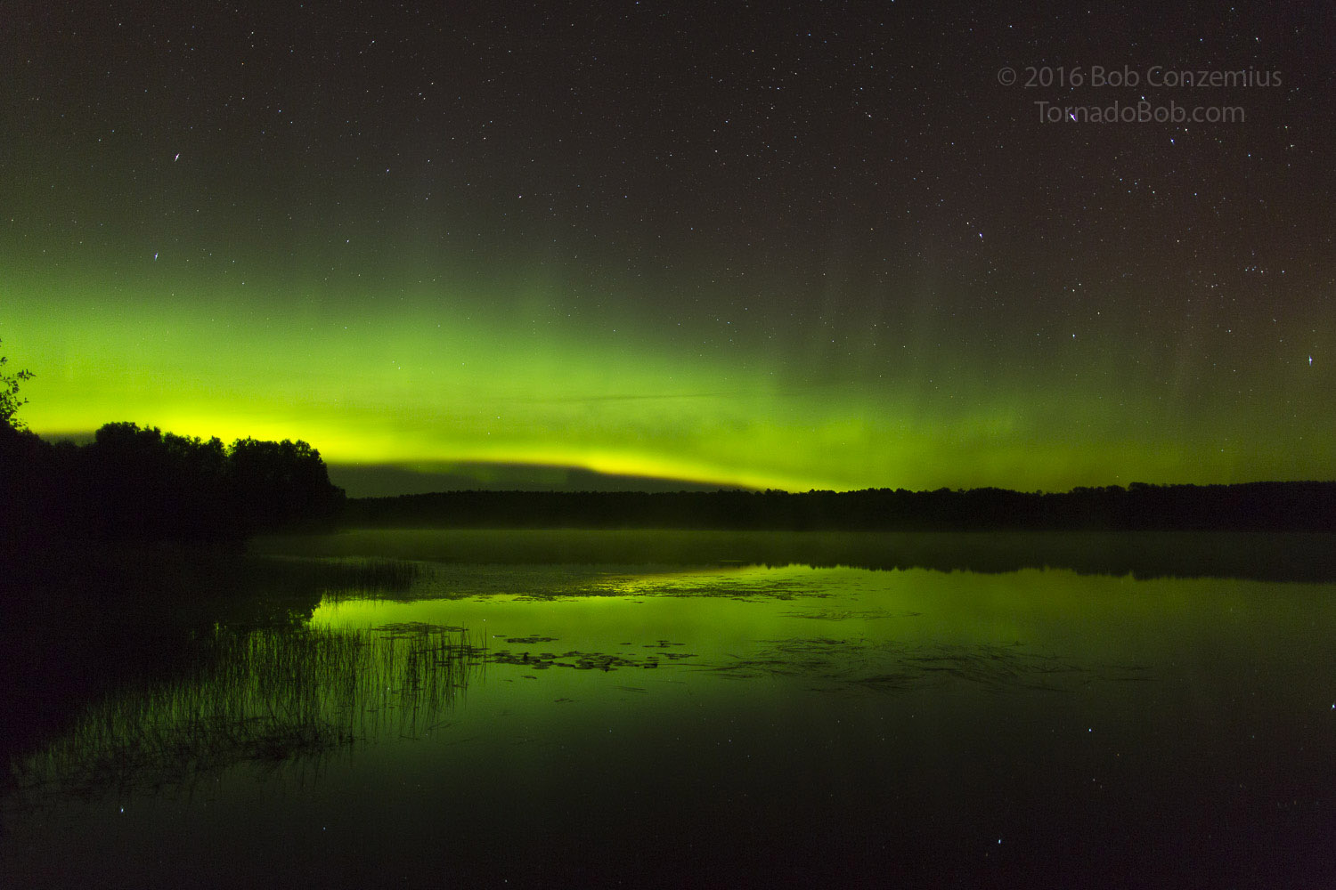Nice Auroras