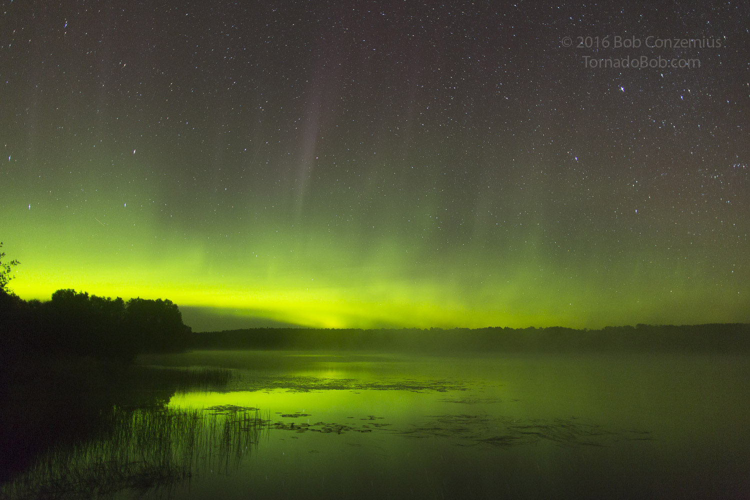 Nice Auroras