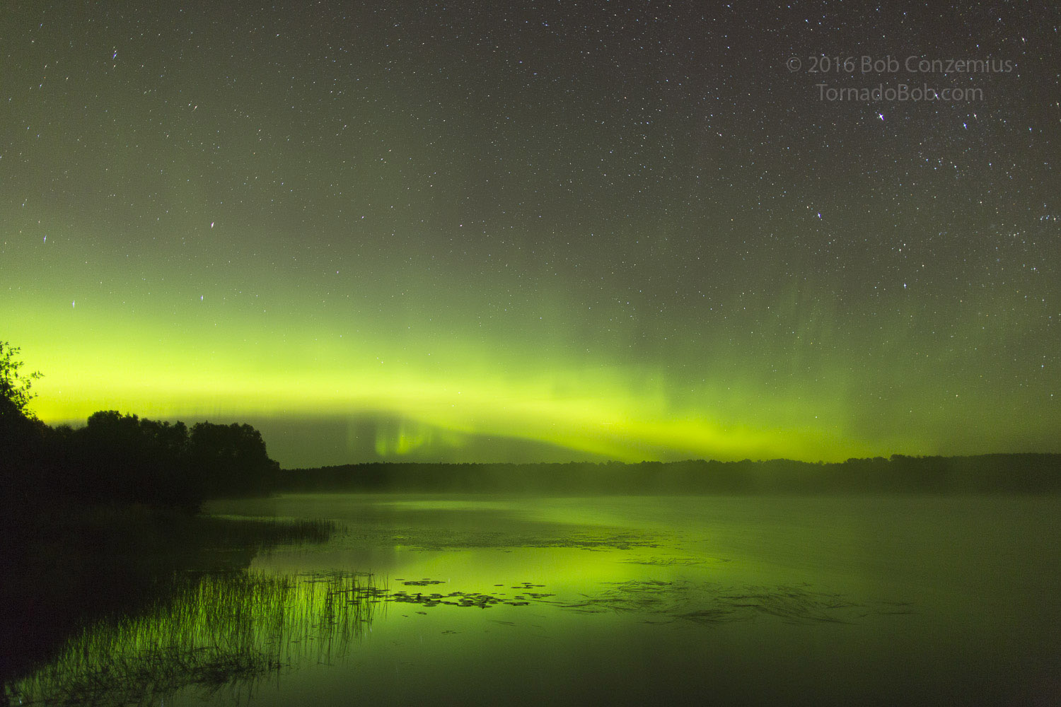 Nice Auroras