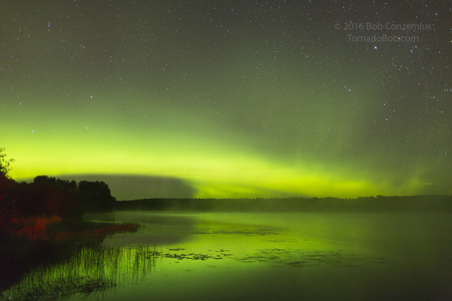 Nice Auroras