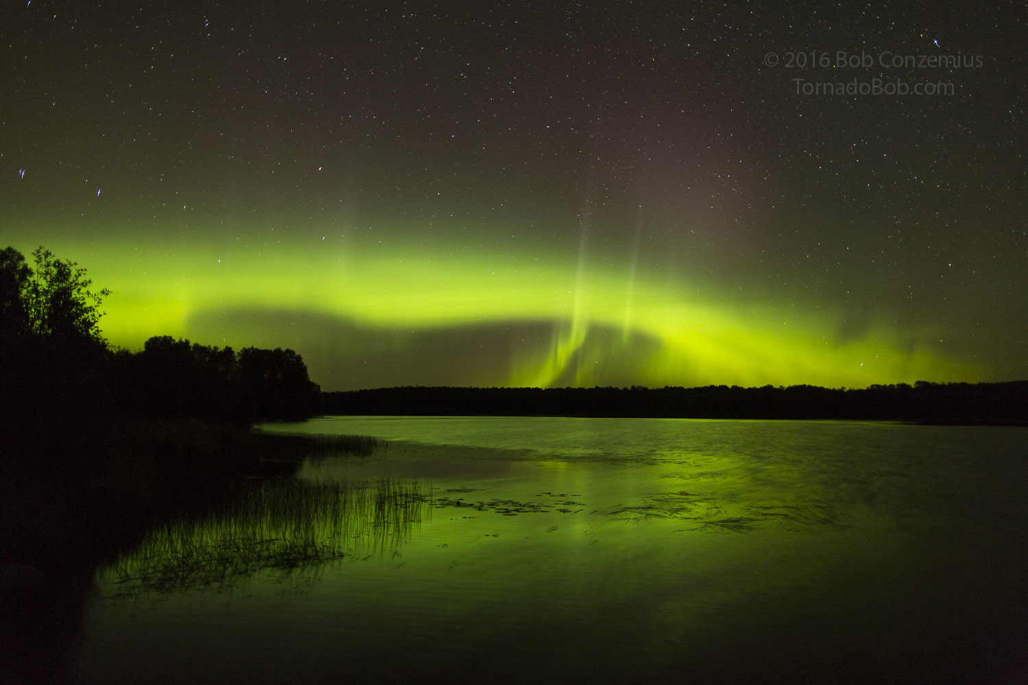 Nice Auroras