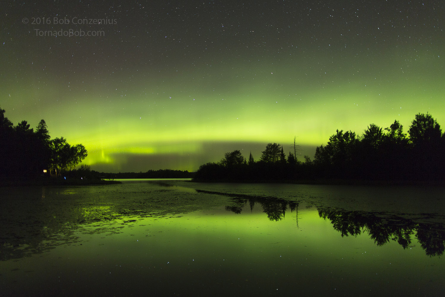 Nice Auroras