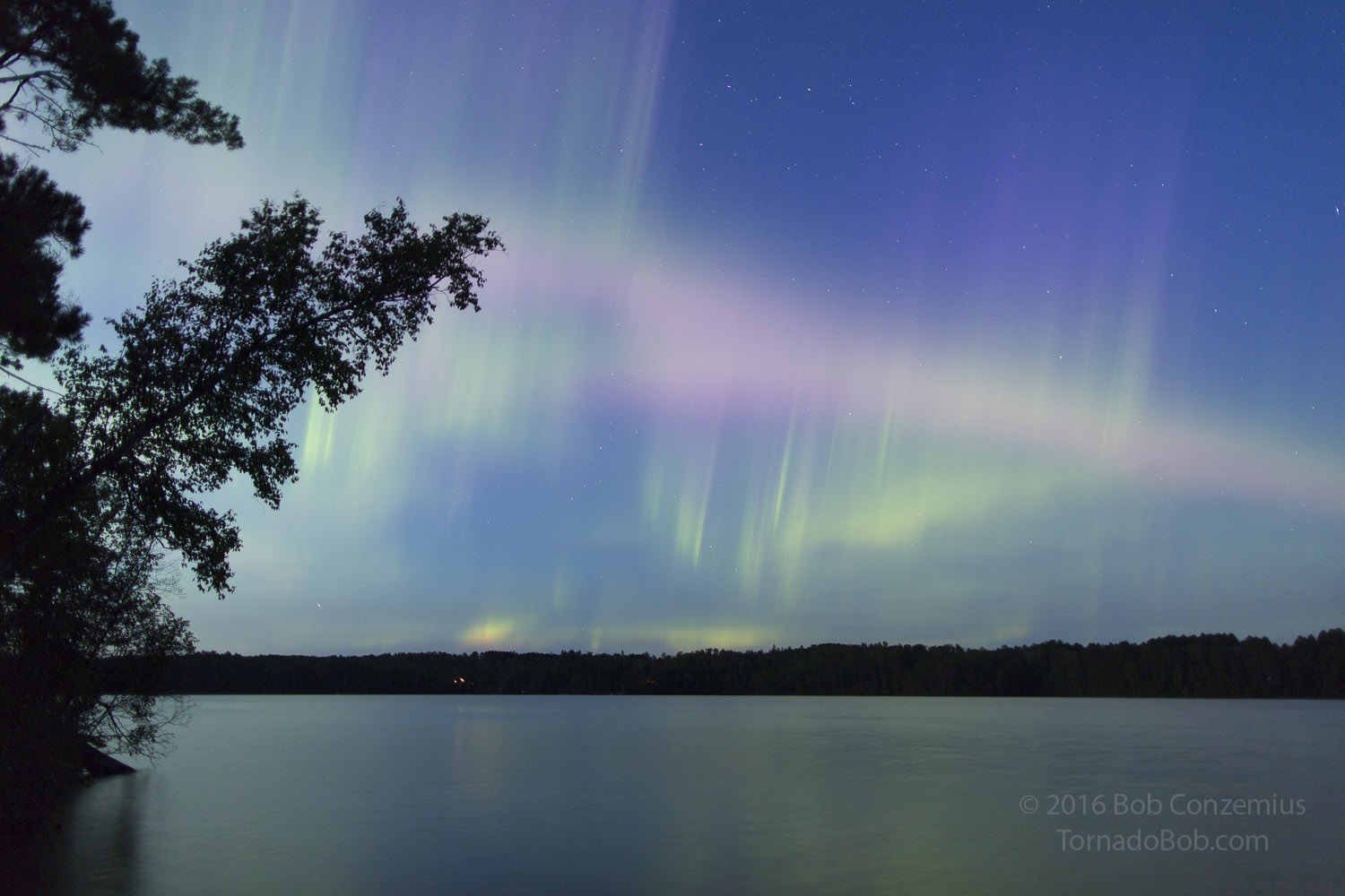 Nice Auroras