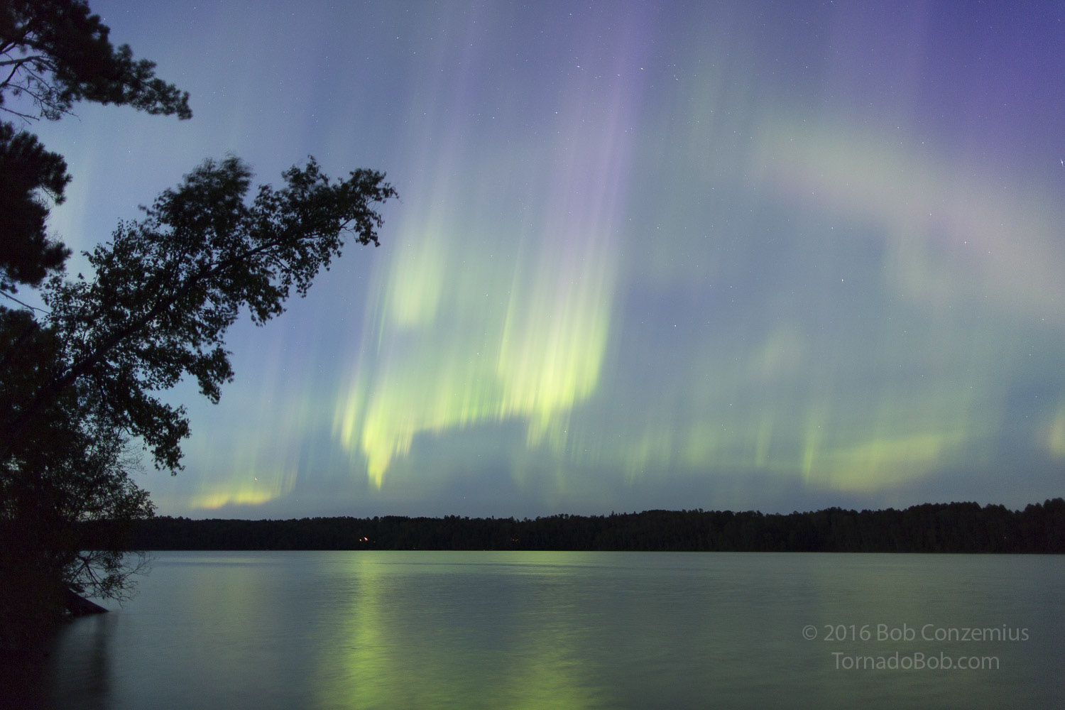 Nice Auroras