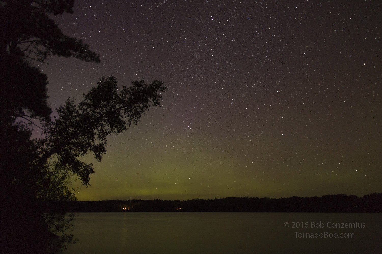 Nice Auroras