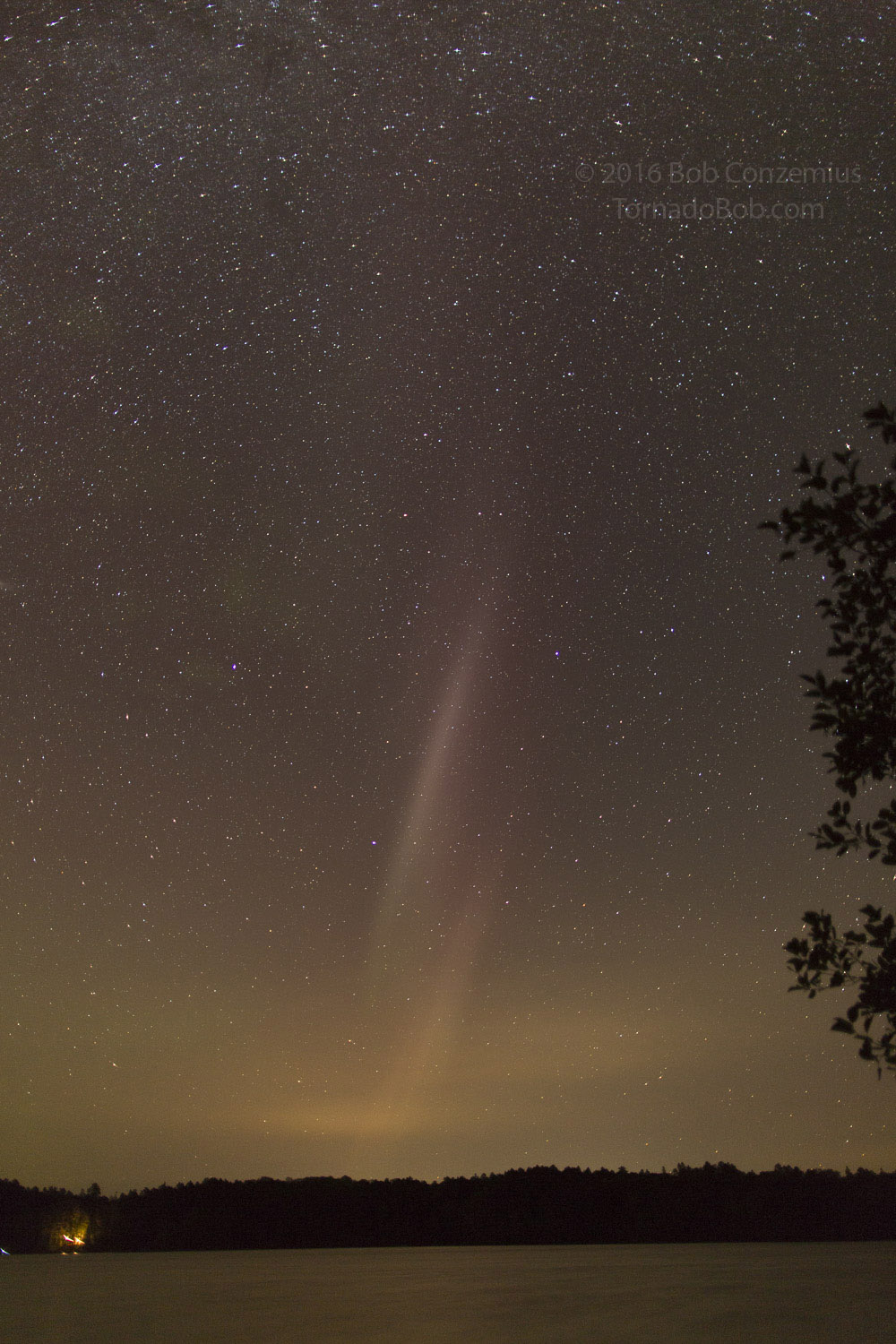 Nice Auroras