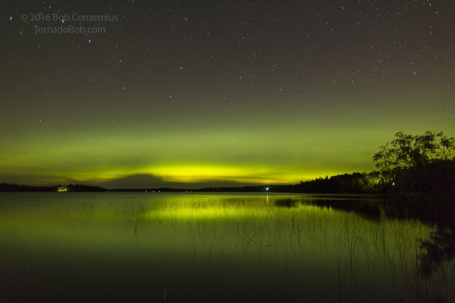 Nice Auroras