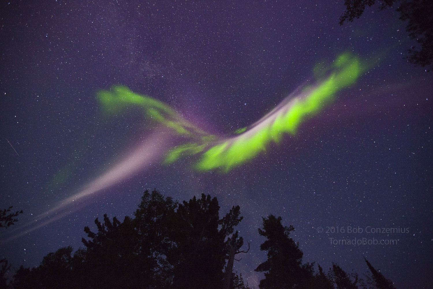 Nice Auroras