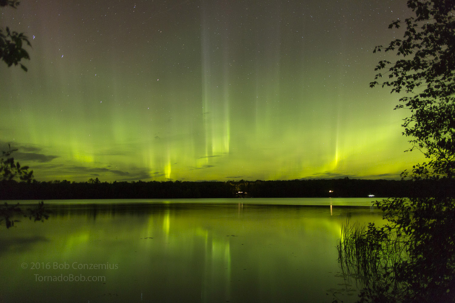 Nice Auroras