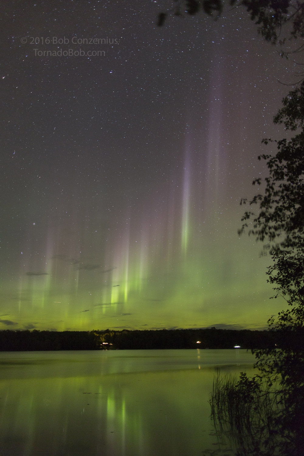 Nice Auroras