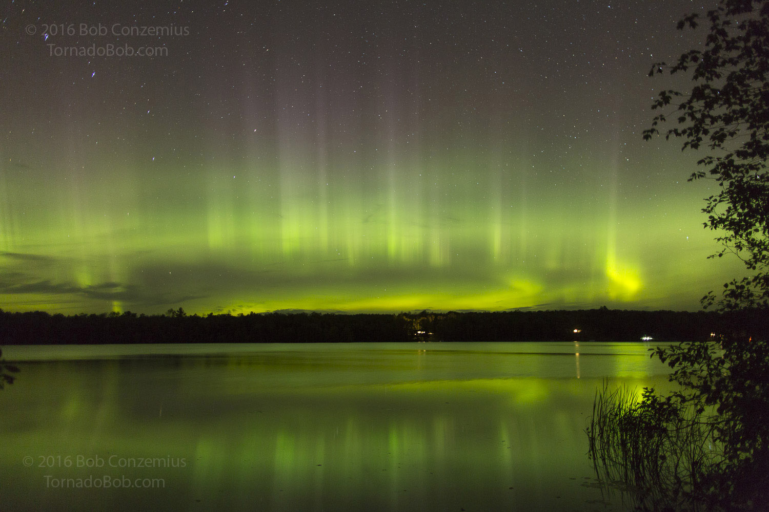 Nice Auroras