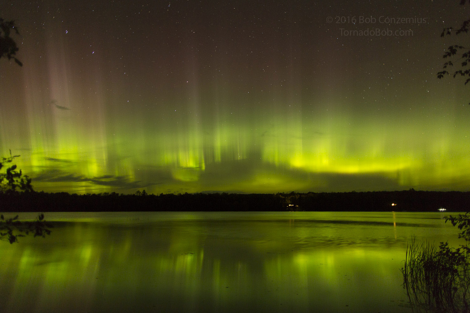 Nice Auroras
