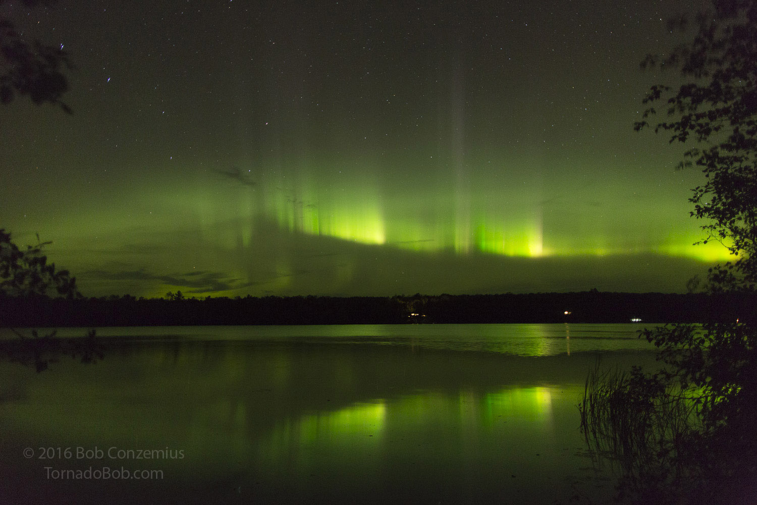 Nice Auroras