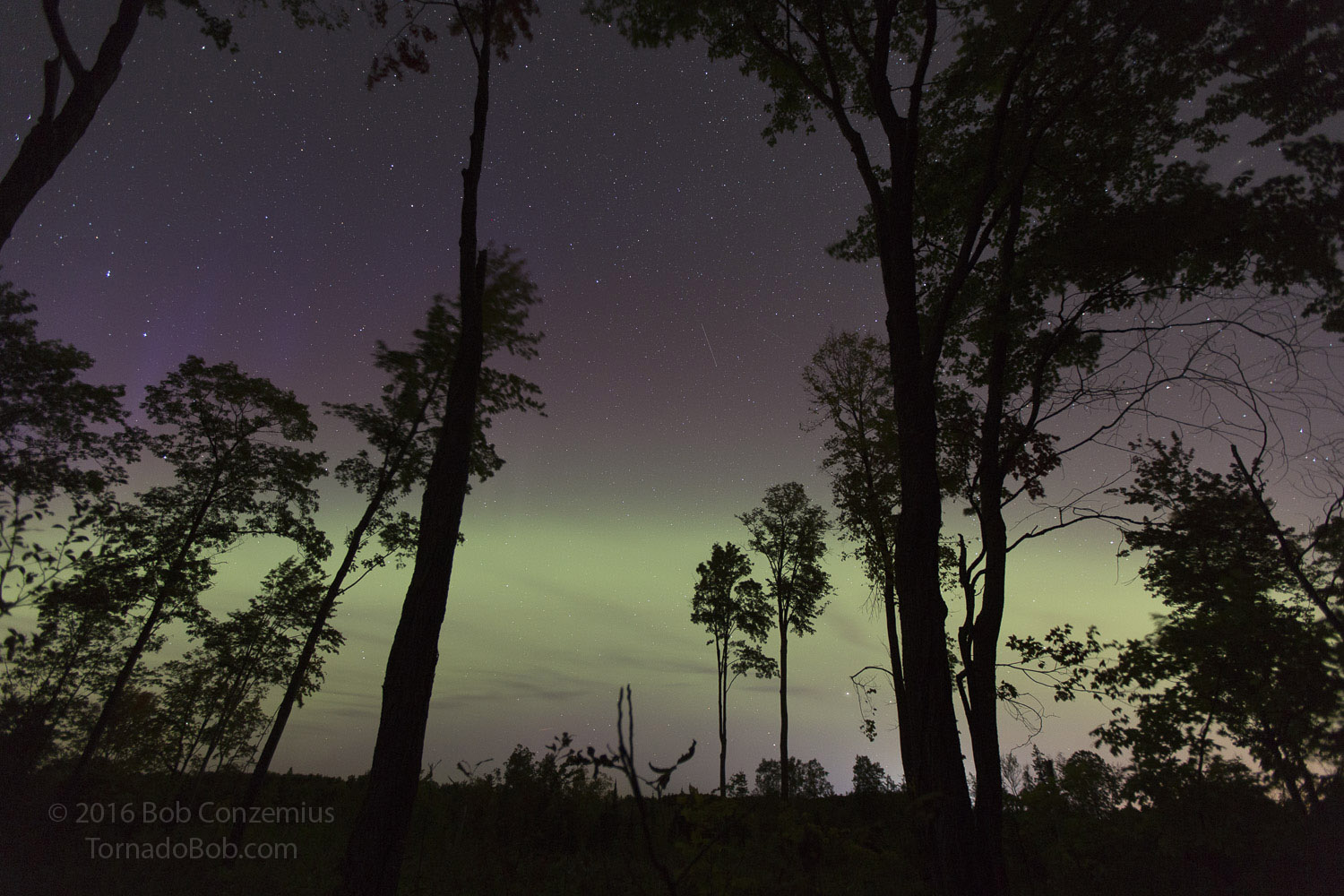 Nice Auroras