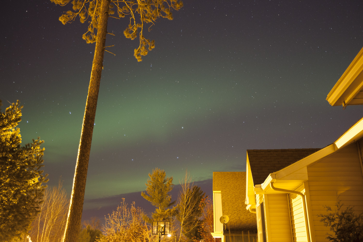 Nice Auroras
