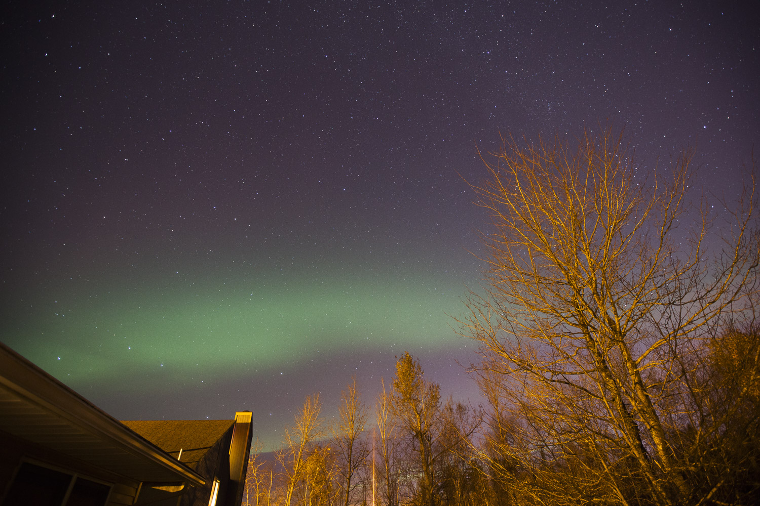 Nice Auroras