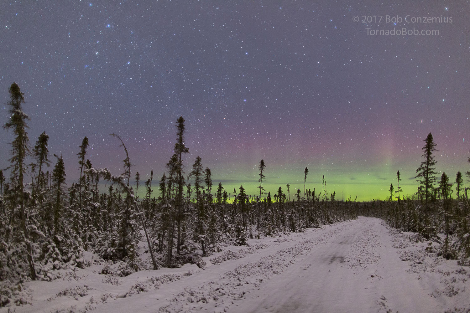 Nice Auroras