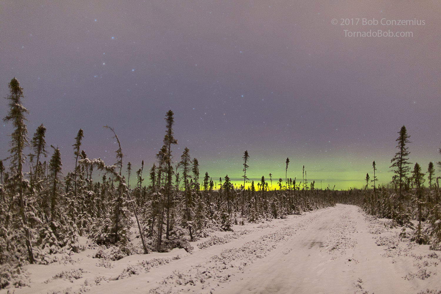 Nice Auroras