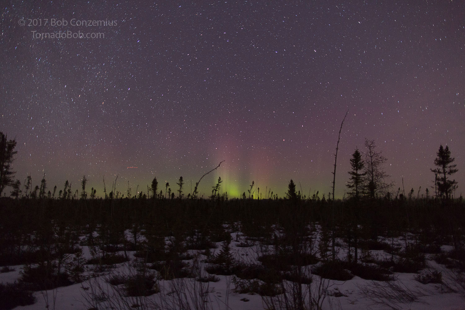 Nice Auroras