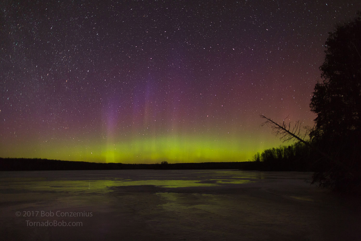 Nice Auroras