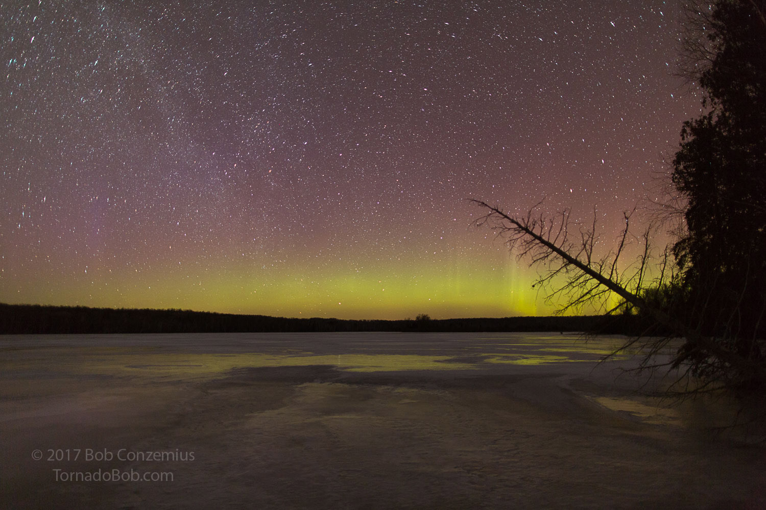 Nice Auroras