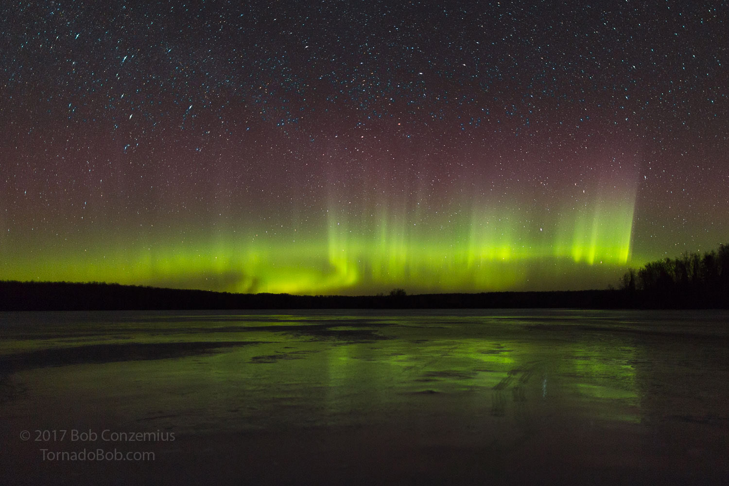 Nice Auroras