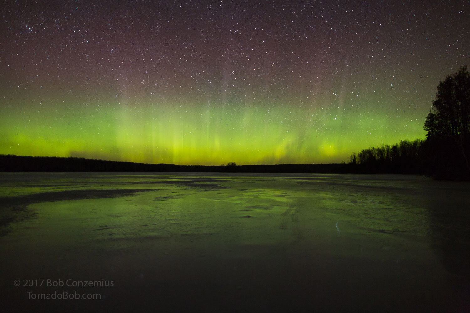 Nice Auroras