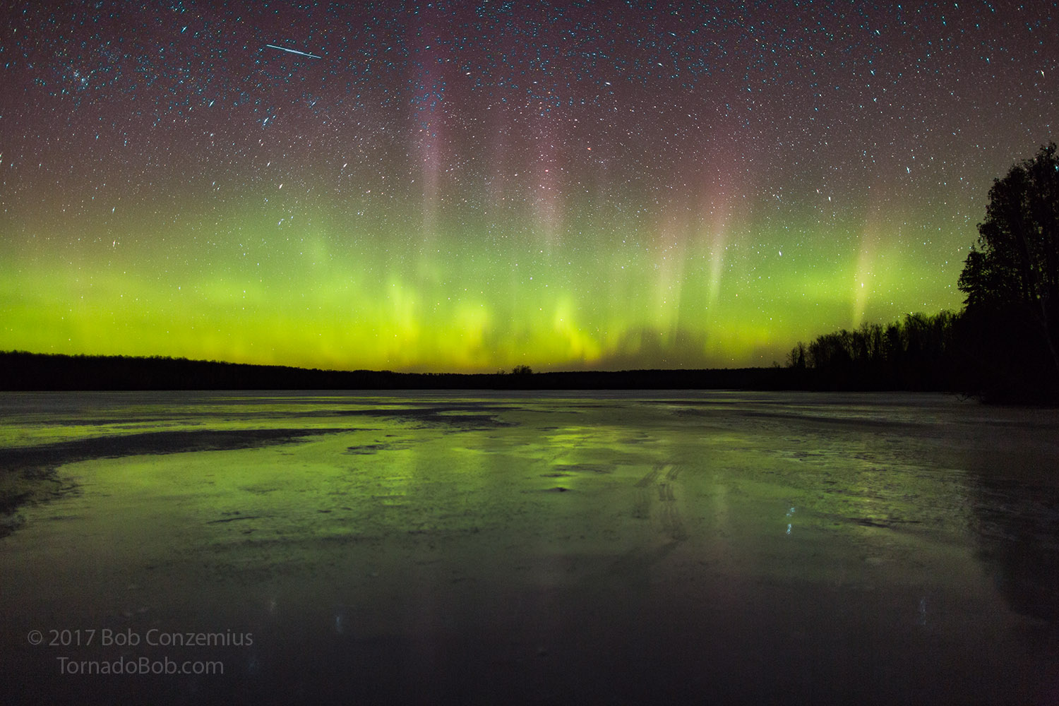 Nice Auroras
