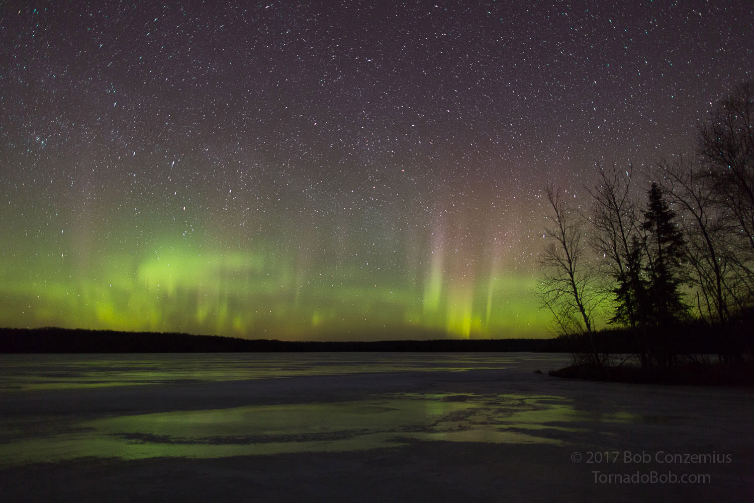 Nice Auroras