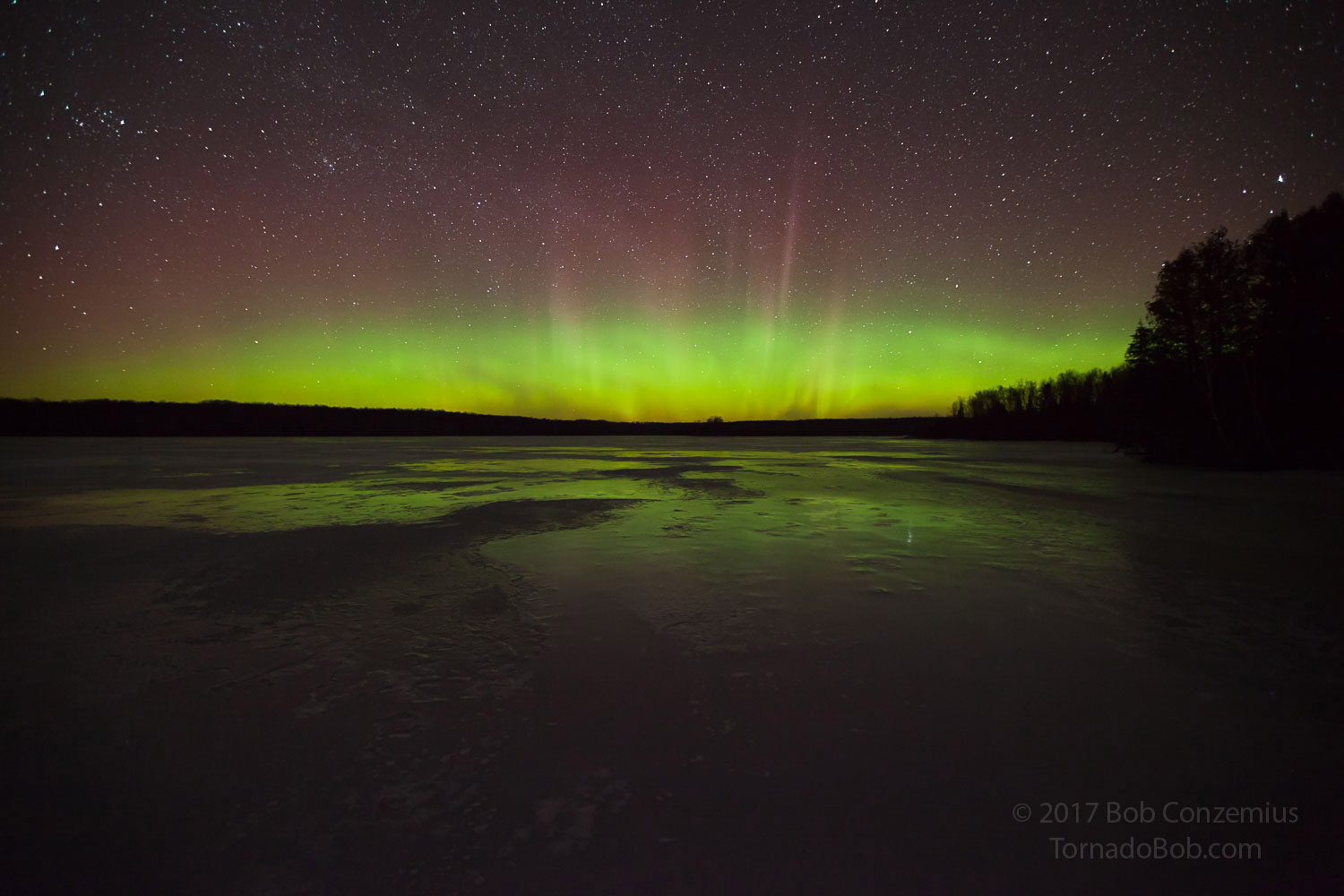 Nice Auroras