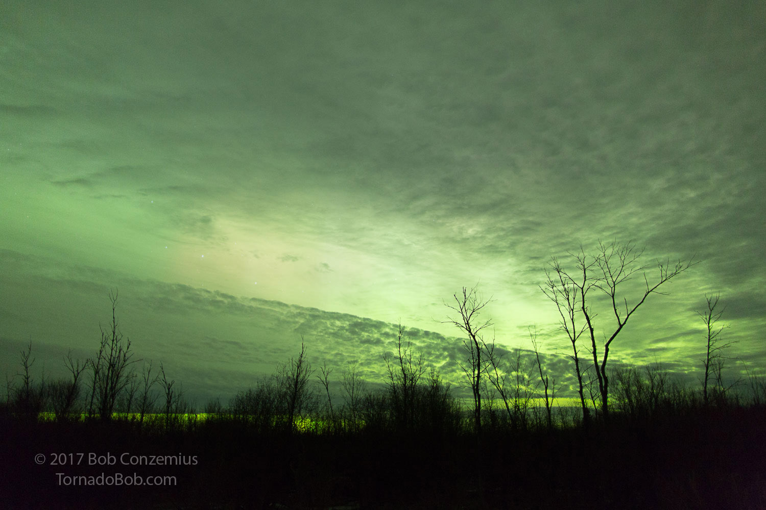 Nice Auroras