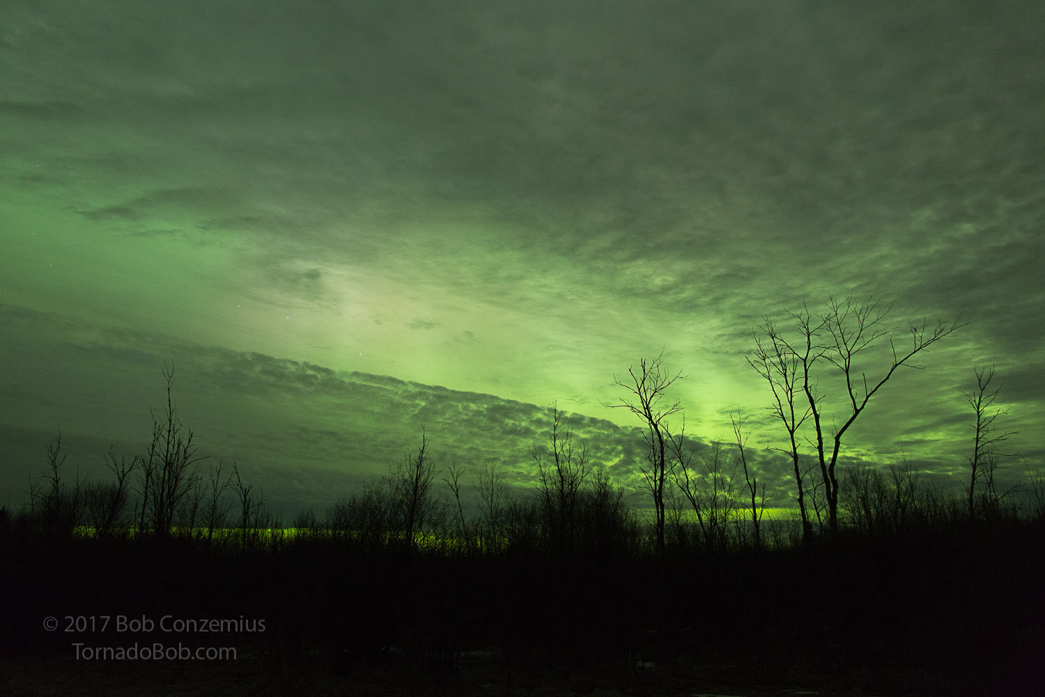 Nice Auroras