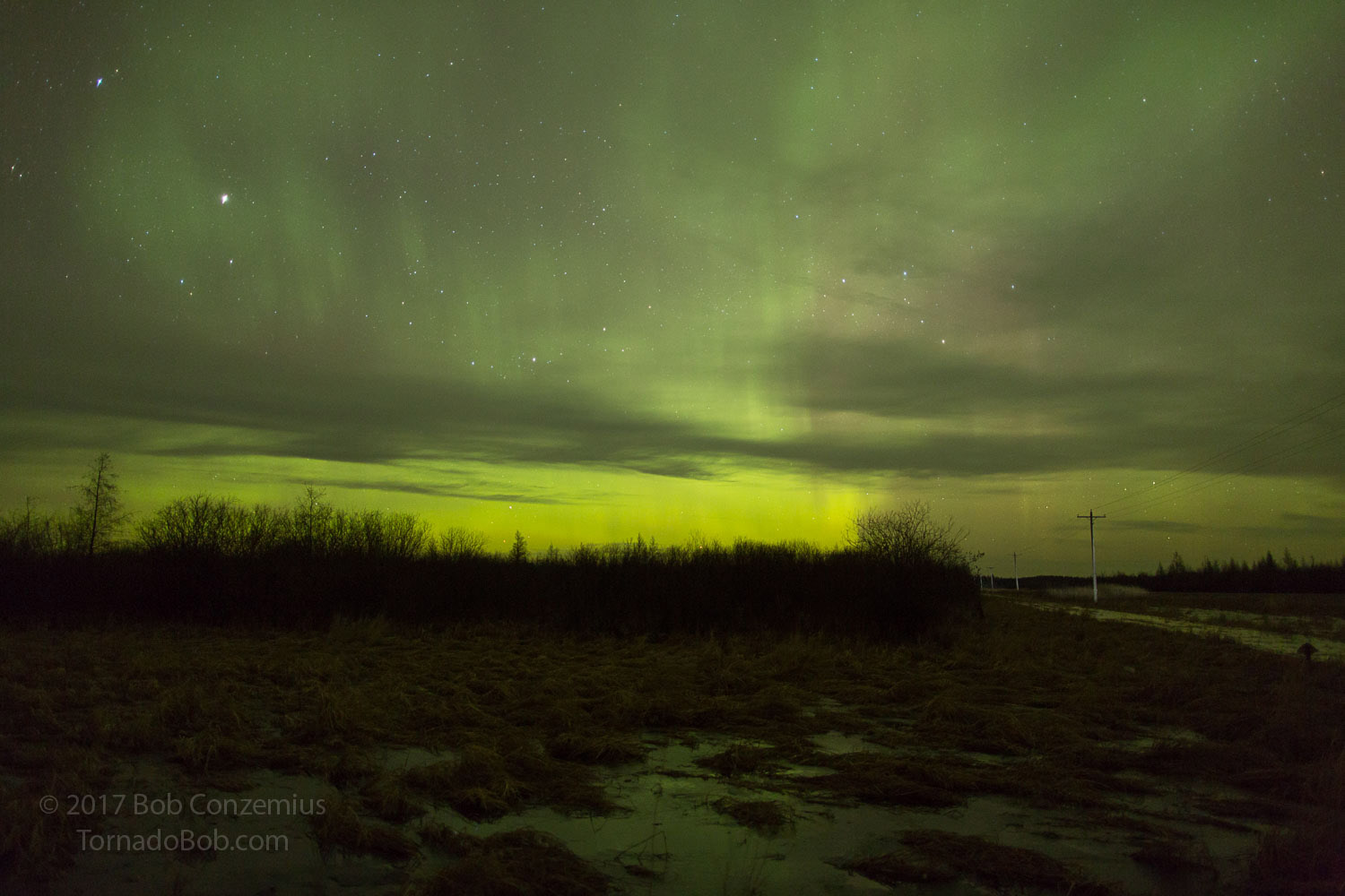 Nice Auroras