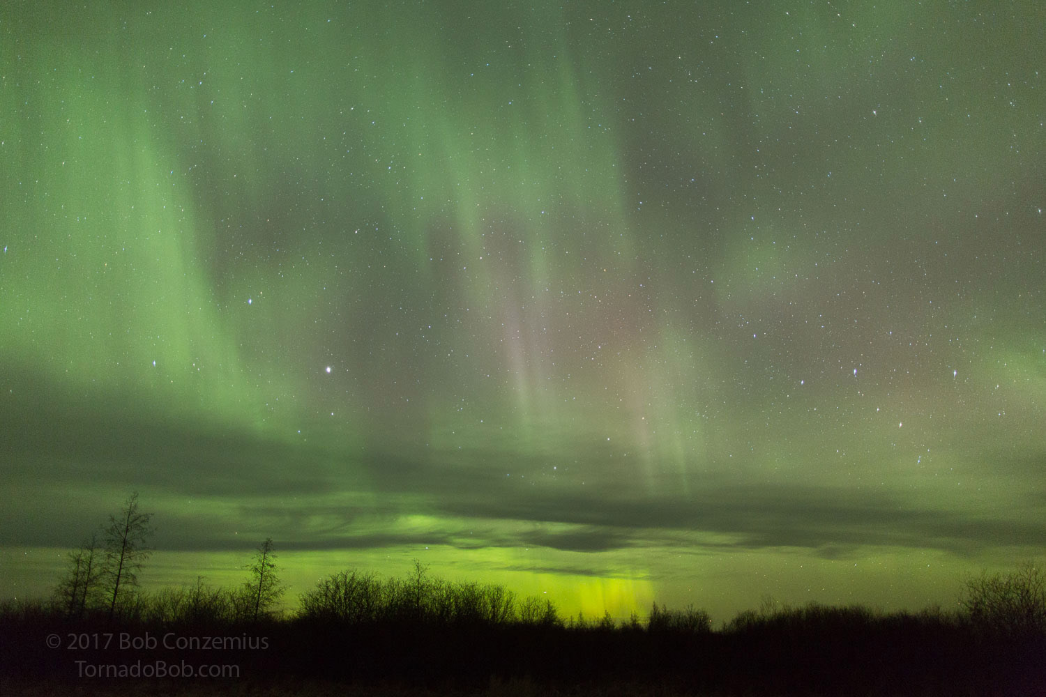 Nice Auroras